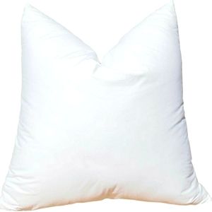 European 20x20 100%cotton cover down pillow